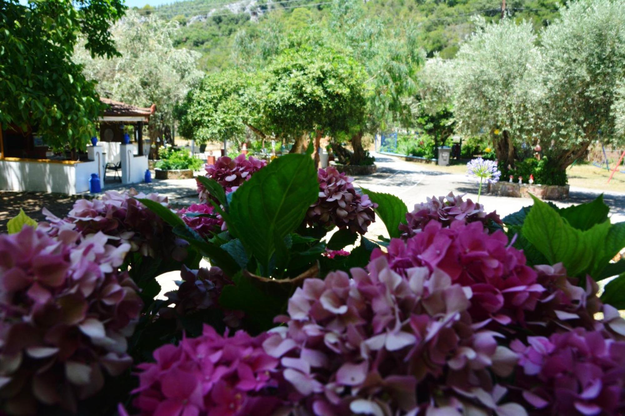 Spiros Rooms Panormos  ภายนอก รูปภาพ